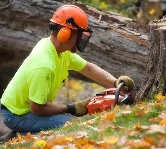 tree services Alcorn State University